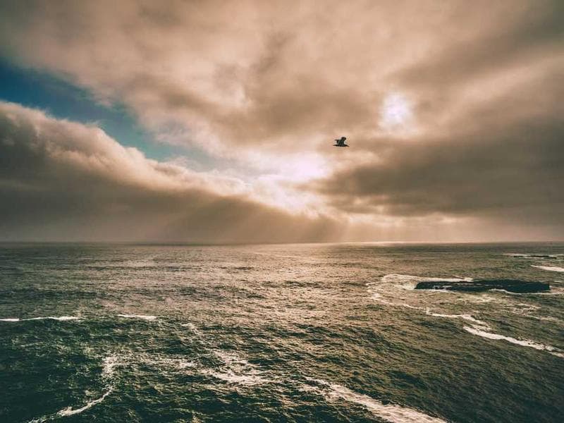 Naklejki samochodowe - view 1